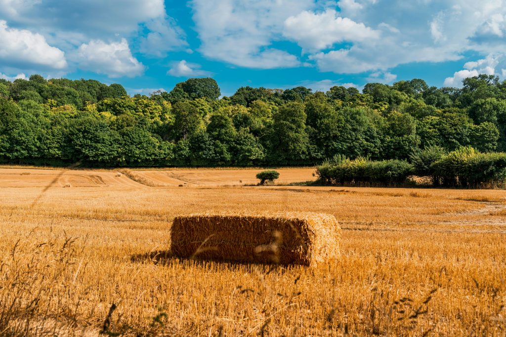Hertfordshire